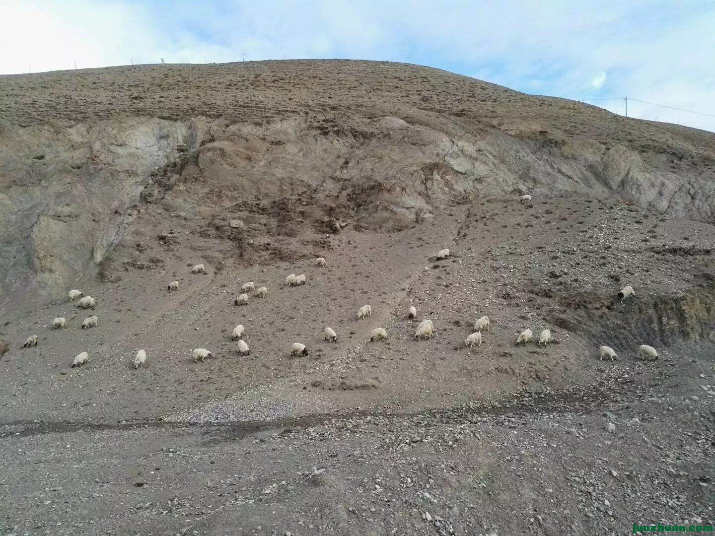 13.jpg