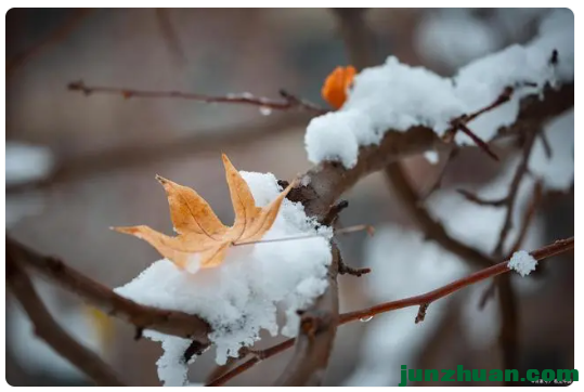 ֵƷζСѩСѩѩ곤Ъ