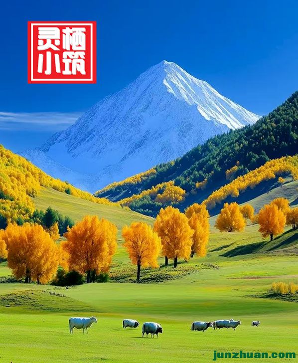 ����С����1246��