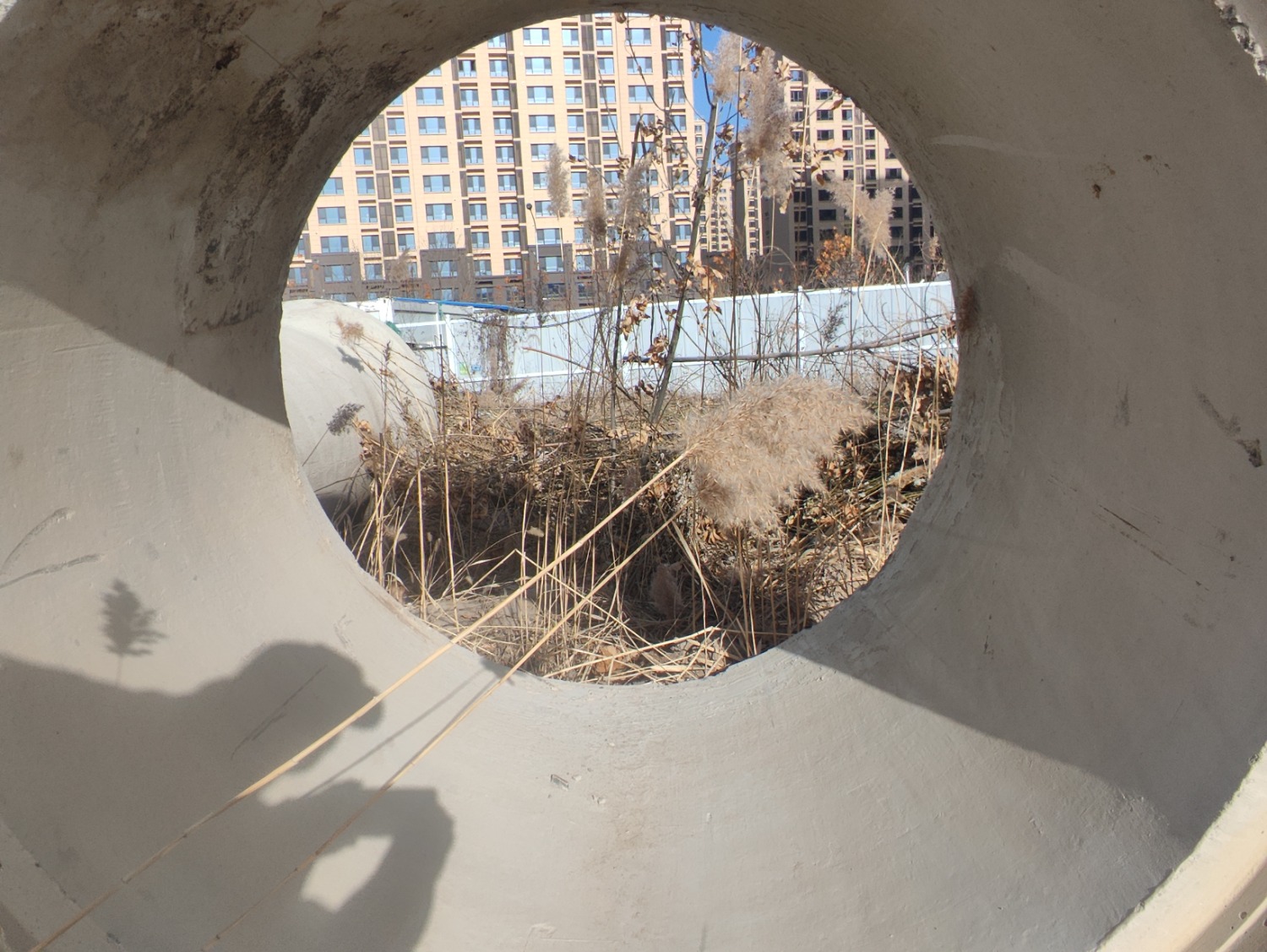 Ƭ(2709)ģҷûУˮҲһѽ