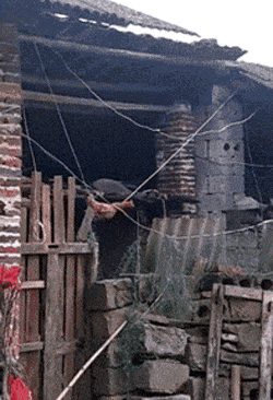 ��ÿ��һ����֮2316