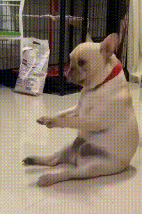 ��ÿ��һ����֮2329