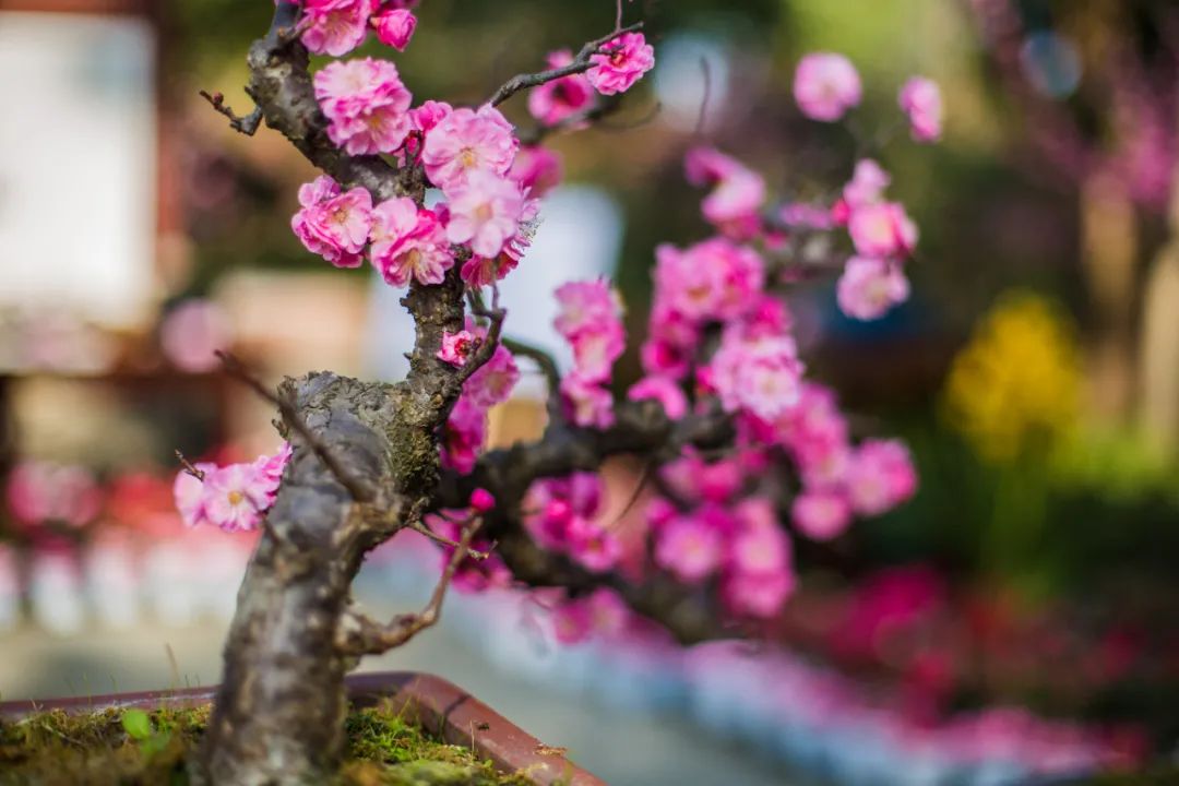 �������⣬����Ͳ��ٺ���