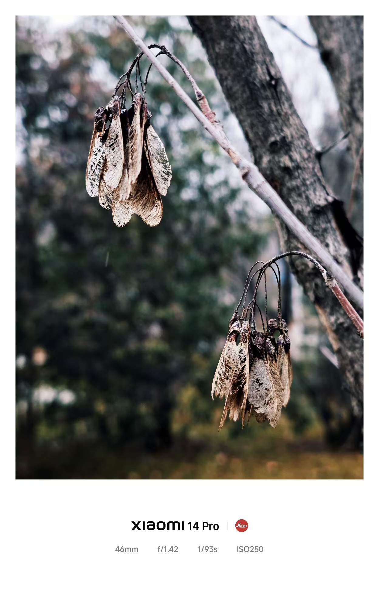 �����ʵĳ��һ����