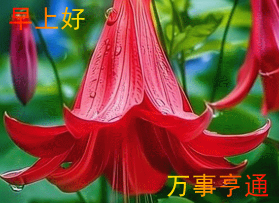 �ϱ�֮�����·�ǩ������