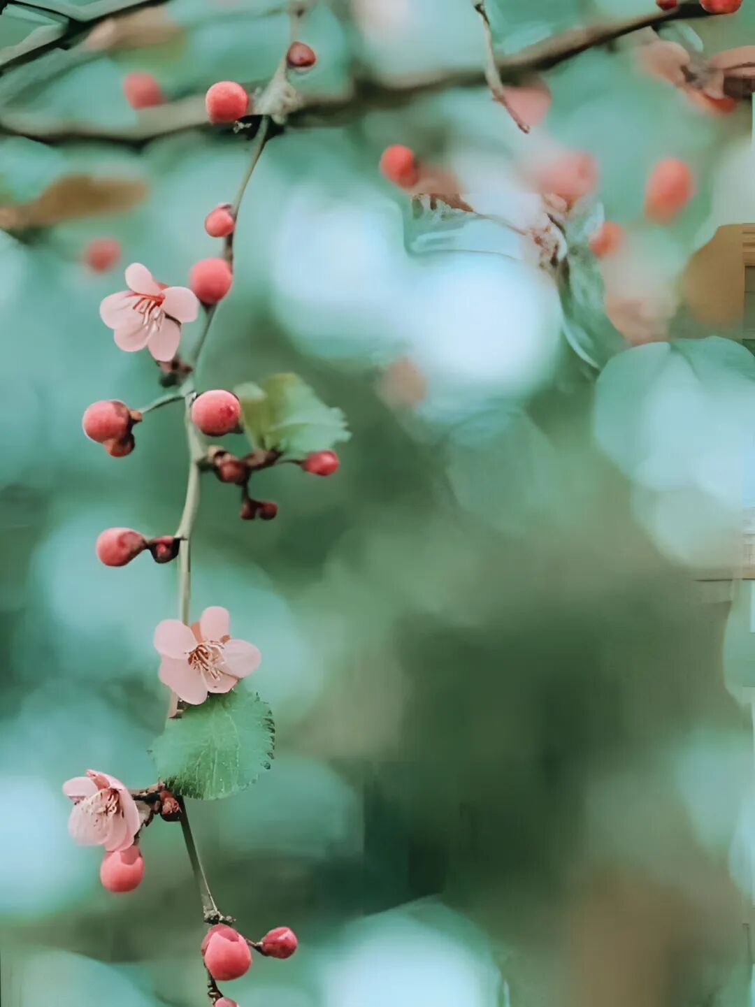 ������������գ����´�ů�ֻ���