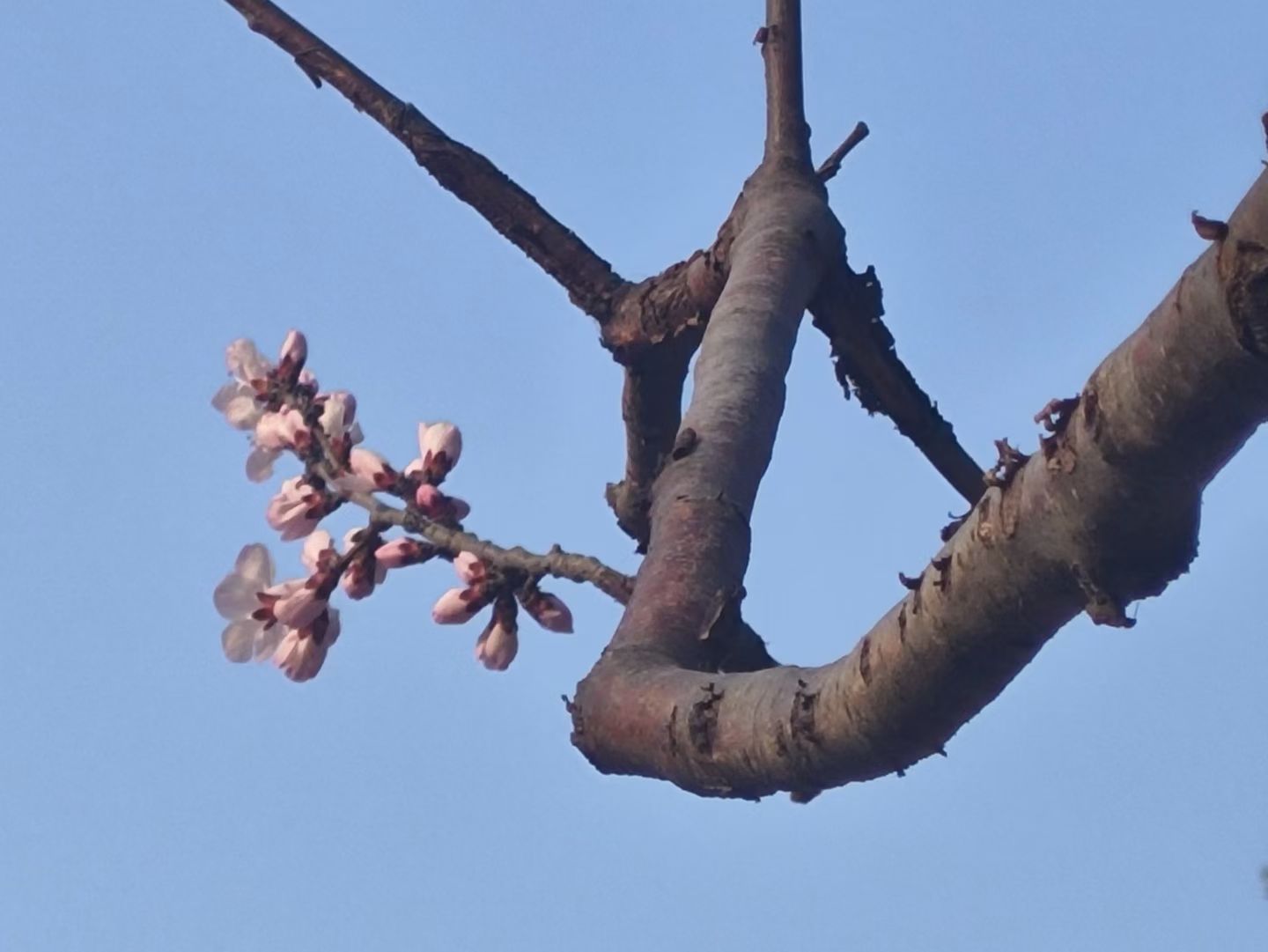 ��Ƭ��(2752)·������:ɽ�һ����������ţ�