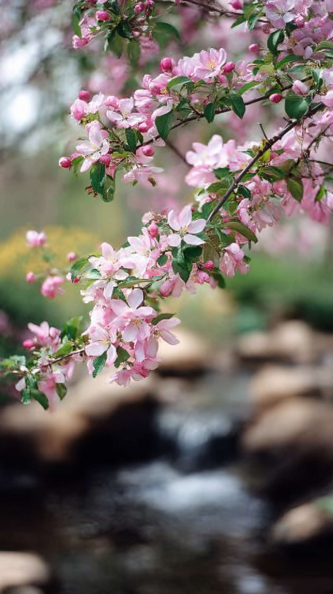 ����ʱ���������