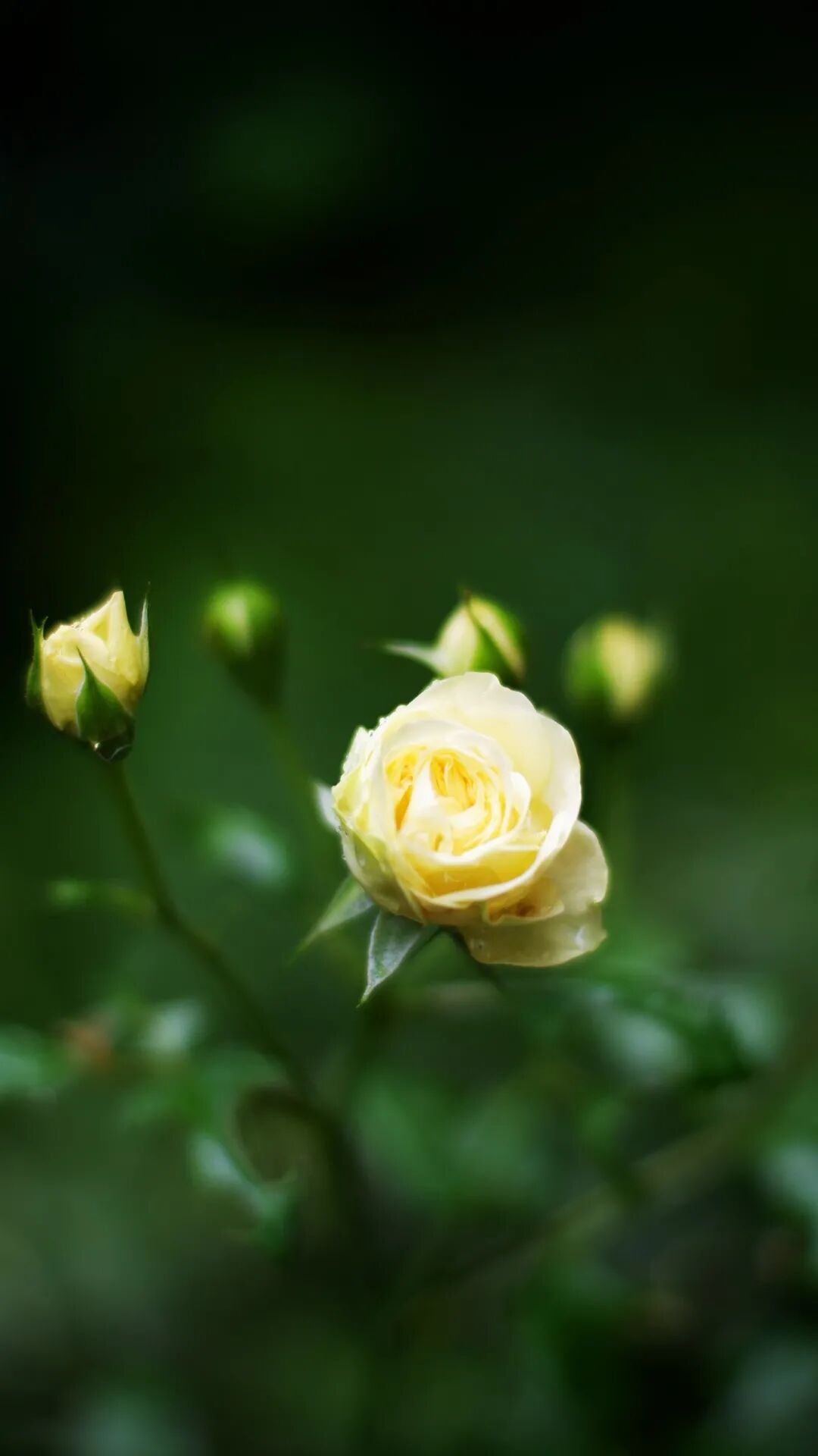 ���������࣬�������Ǹ���