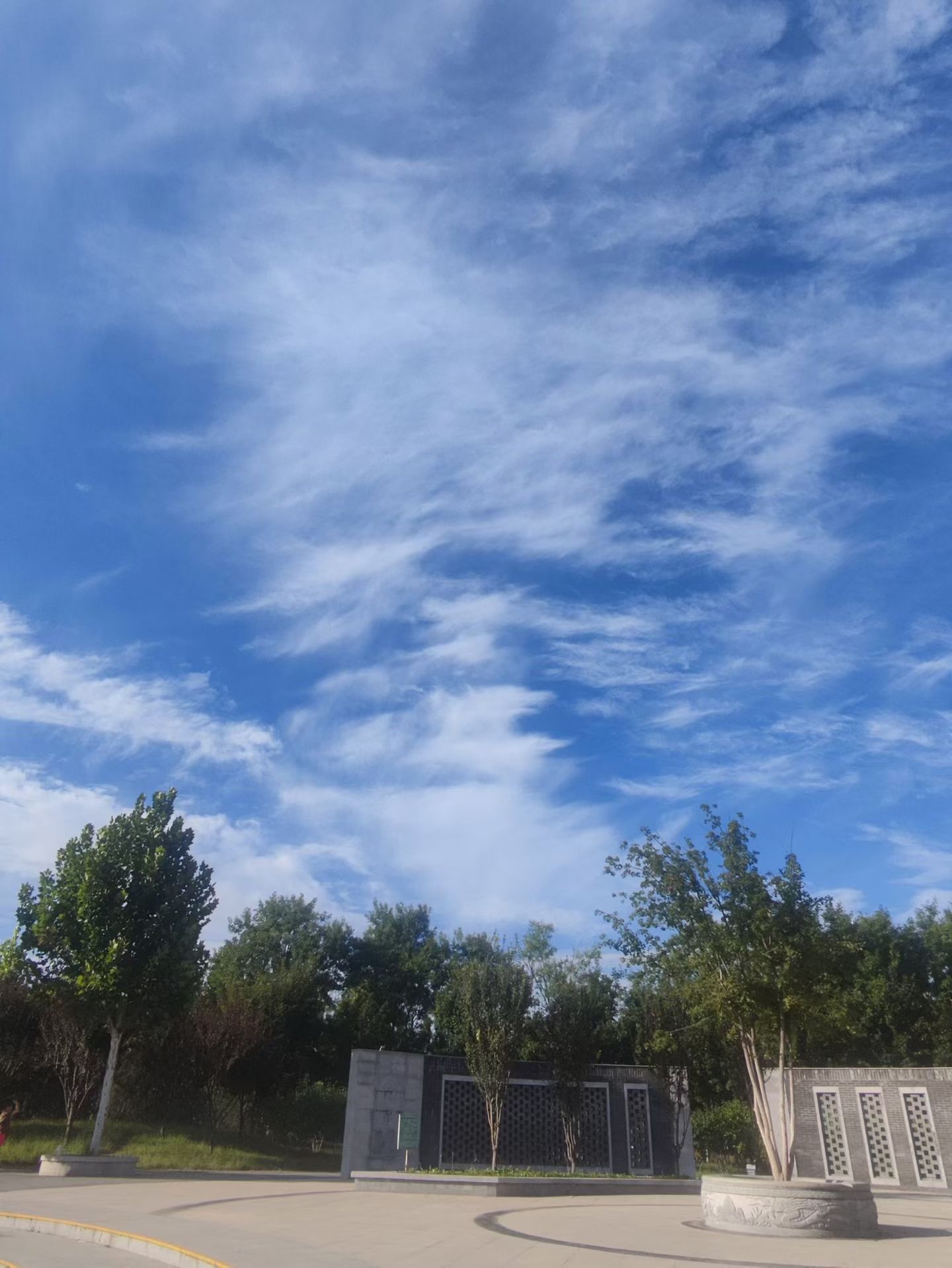 ��Ƭ��(3852)��������:�ڴ���԰һ�ǣ�