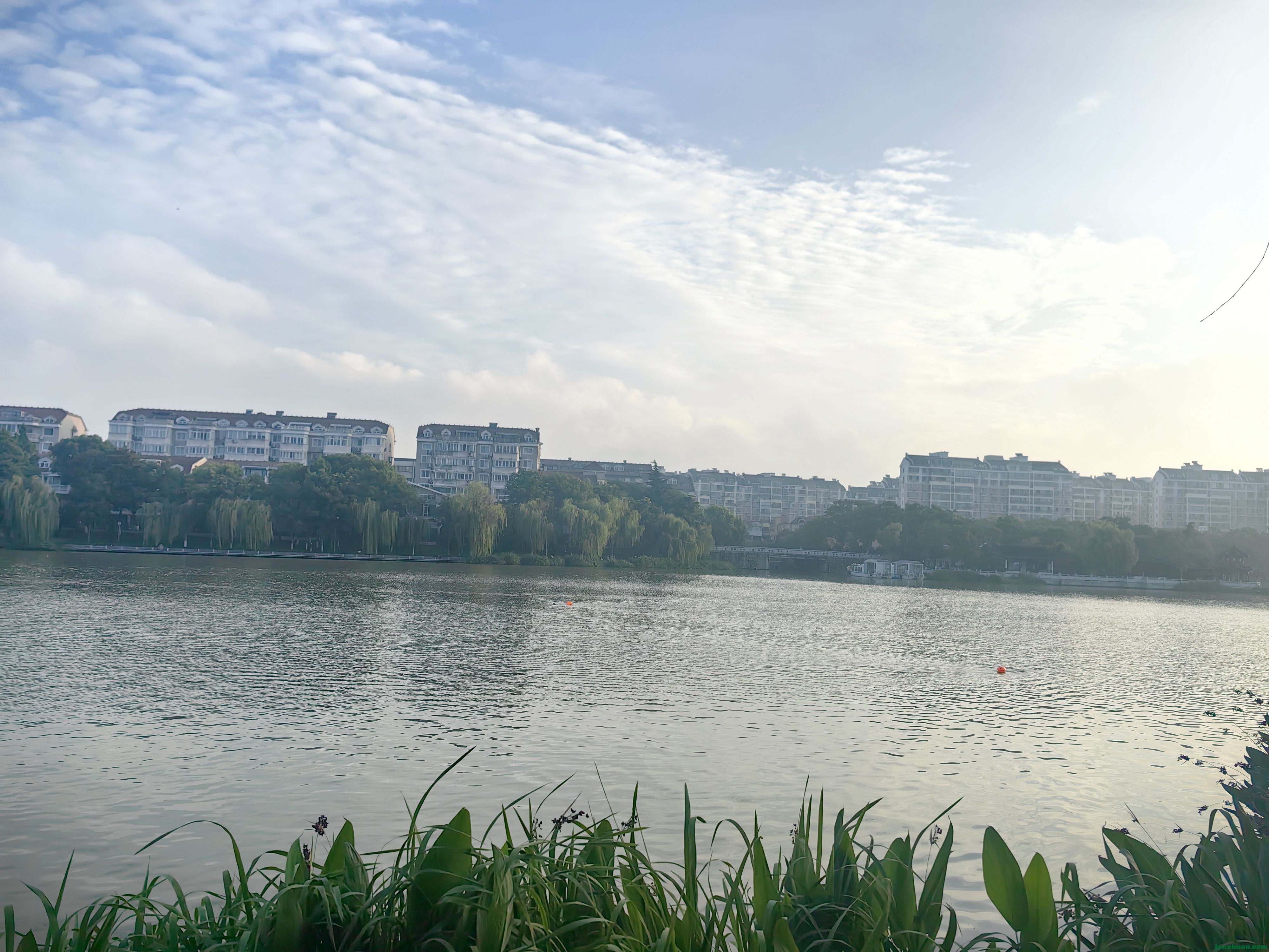 IMG_20250713_055440.jpg
